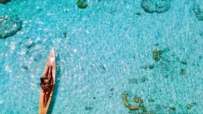 Tube Preamps, TLM103 vs. OJ 818, Podcastage's Beanies