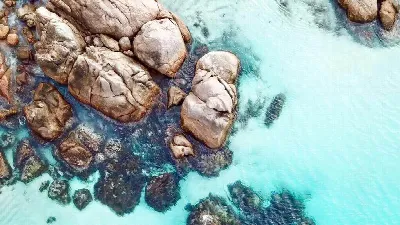 Tube Preamps, TLM103 vs. OJ 818, Podcastage's Beanies